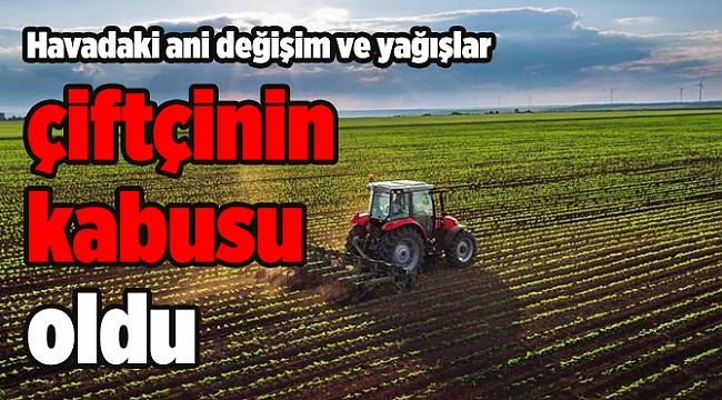 Havadaki ani değişim ve yağışlar çiftçinin kabusu oldu