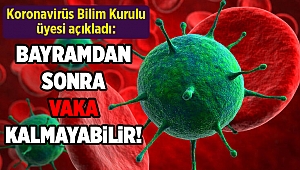 Koronavirüs Bilim Kurulu Üyesi Prof. Dr. İlhami Çelik'ten 'vaka' açıklaması