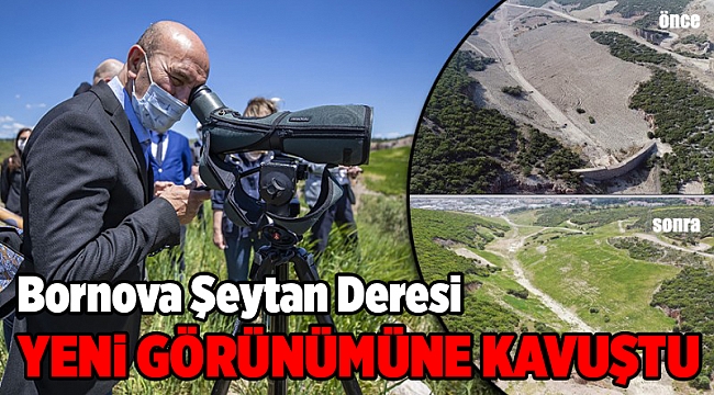 Şeytan Deresi’nde fidanlar boy vermeye başladı