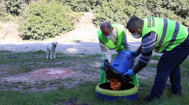 Sokak hayvanlarına bayramda mama desteği