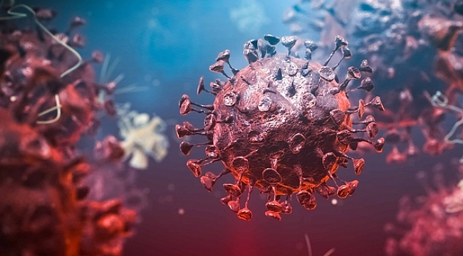 Türkiye’deki ilk koronavirüs vakasının kaynağı belli oldu!