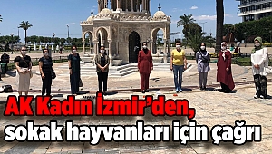 AK Kadın İzmir’den, sokak hayvanları için çağrı
