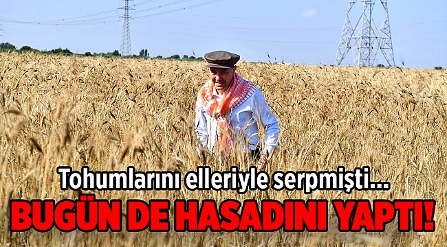 Başkan Soyer elleriyle serptiği karakılçık buğdayının hasadını yaptı