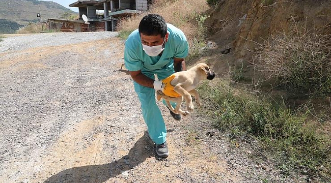 Bayraklı, Karşıyaka ve HAYTAP'tan ortak çalışma