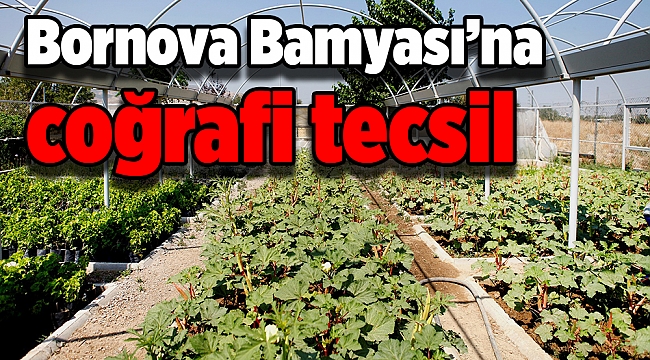 Bornova Bamyası’na coğrafi tecsil