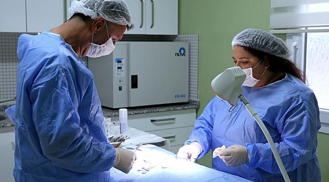 Buca Belediyesi 1 yılda 8 bin hayvana kucak açtı