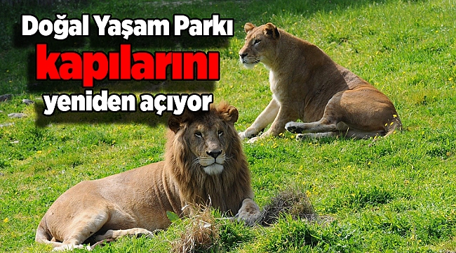 Doğal Yaşam Parkı kapılarını yeniden açıyor