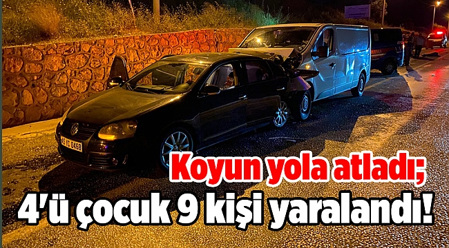Koyun yola atladı; 4'ü çocuk 9 kişi yaralandı!