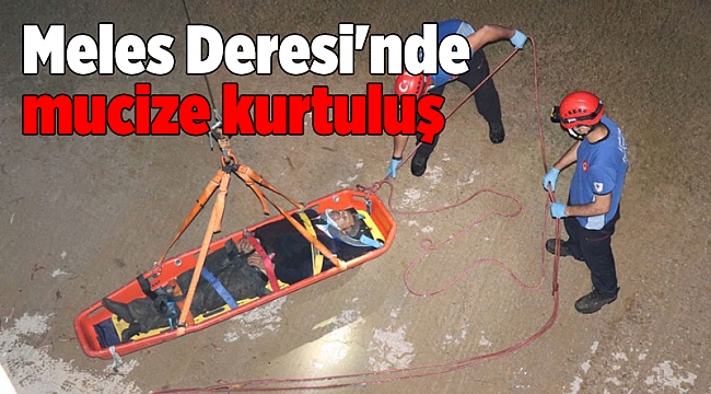 Meles Deresi'ne düşen yaşlı adam ölümden döndü!