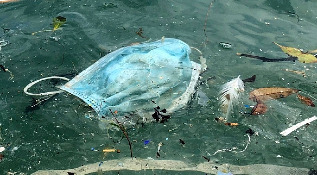 Okyanuslarda yeni tehlike: Covid atıkları