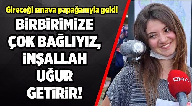 Sınava papağanıyla geldi
