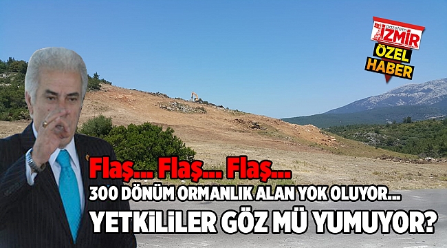 300 DÖNÜM ORMANLIK ALAN YOK OLUYOR... YETKİLİLER GÖZ MÜ YUMUYOR?