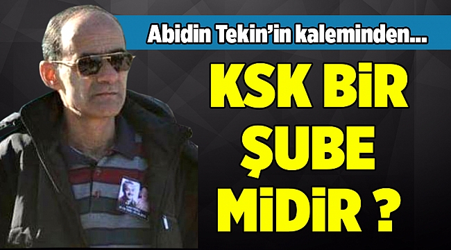 Abidin Tekin'in kaleminden...