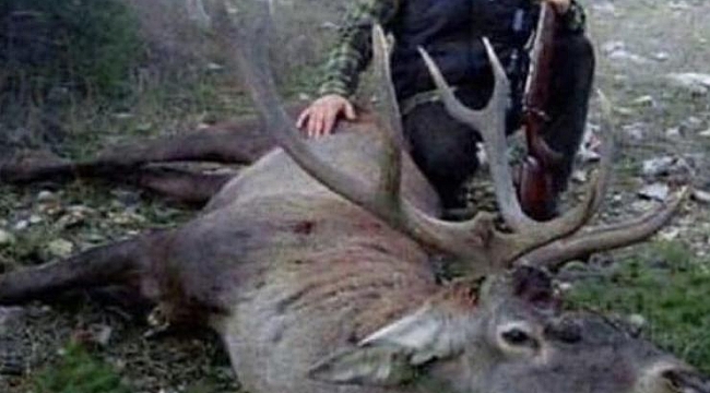 Akşener’den sert tepki: Önce işinizi doğru yapın