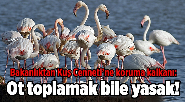 Bakanlıktan Kuş Cenneti’ne koruma kalkanı: Ot toplamak bile yasak!