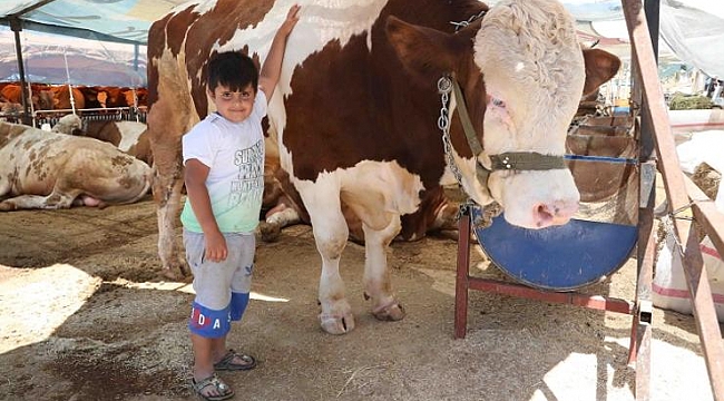 Bayraklı Belediyesi Kurban Bayramı’na hazır