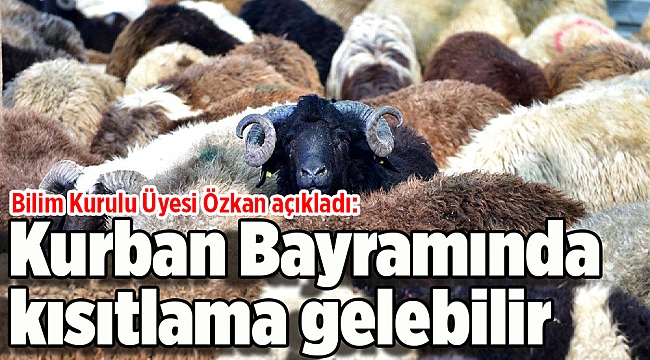Bilim Kurulu Üyesi Özkan açıkladı: Kurban Bayramında kısıtlama gelebilir