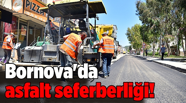 Bornova'da asfalt seferberliği!