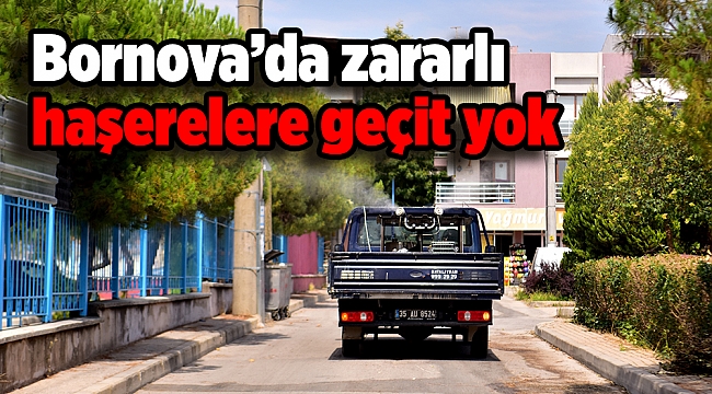 Bornova’da zararlı haşerelere geçit yok