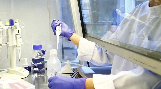 Corona virüsü aşısında flaş gelişme