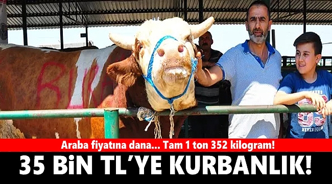 En büyüğü 35 bin liraya alıcısını bekliyor!