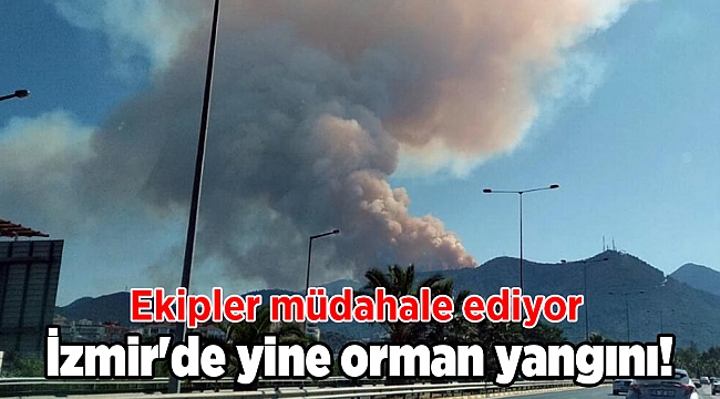İzmir'de yine orman yangını!