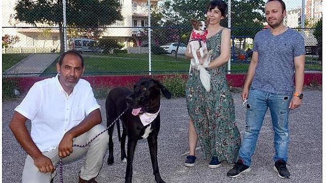 İzmir'in köpeklere fısıldayan adamı!