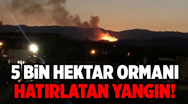 İzmir Menderes'te orman yangını: 5 saatte kontrol altına alındı
