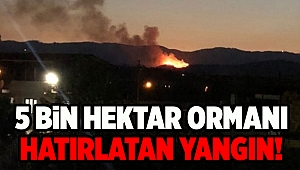 İzmir Menderes'te orman yangını: 5 saatte kontrol altına alındı