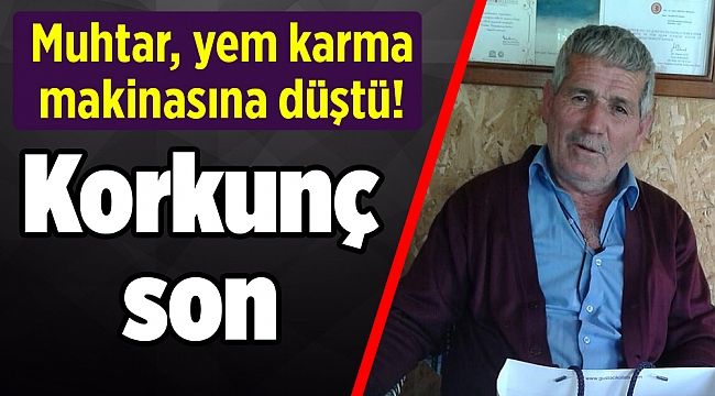 Korkunç son: Muhtar, yem karma makinasına düştü!