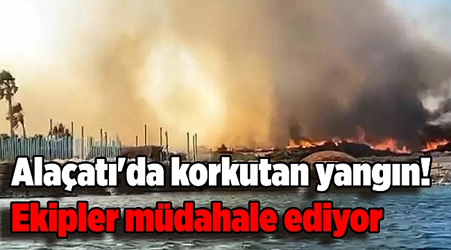 Alaçatı'da korkutan yangın! Ekipler müdahale ediyor