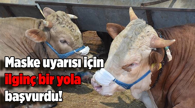 Maske uyarısı için ilginç bir yola başvurdu!