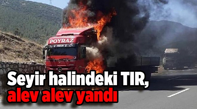 Seyir halindeki TIR, alev alev yandı