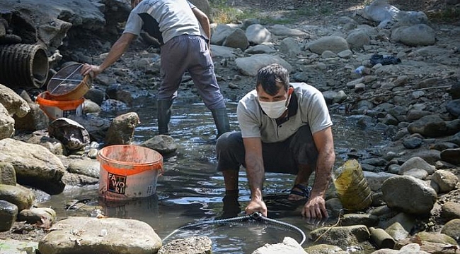 Toplanan balıklar Kestel Barajı’na bırakıldı