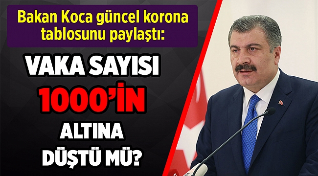 Türkiye'de corona virüsten son 24 saatte 19 can kaybı, bin 53 vaka