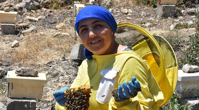 Ürettiği kraliçe arıların tanesini 100 liradan satıyor