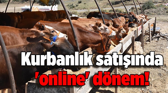 Virüs etkisi: Kurbanlık satışında 'online' dönem!