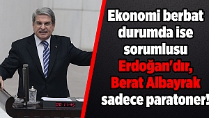 Aytun Çıray: Ekonomi berbat durumda ise sorumlusu Erdoğan'dır, Berat Albayrak sadece paratoner!