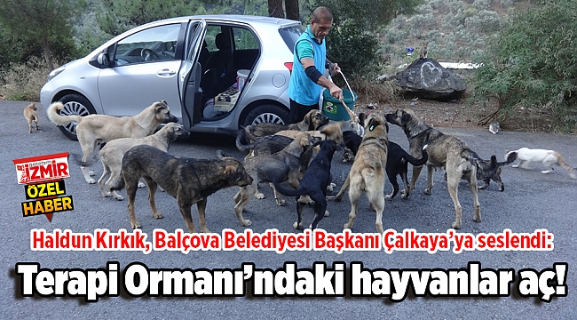 Haldun Kırkık, Balçova Belediyesi Başkanı Çalkaya'ya seslendi: Terapi Ormanı'ndaki hayvanlar aç!