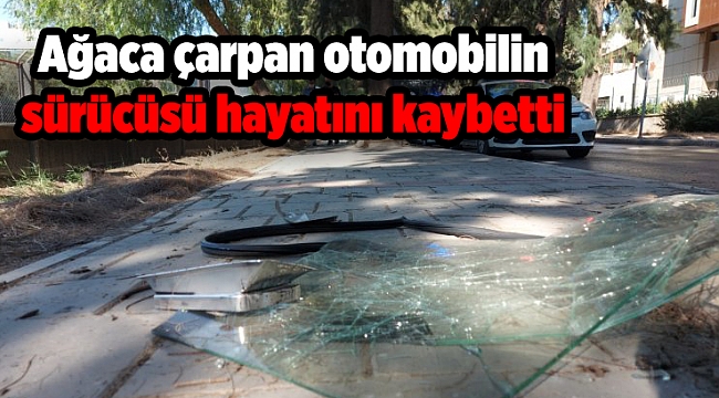 İzmir&#039;de ağaca çarpan otomobilin sürücüsü öldü