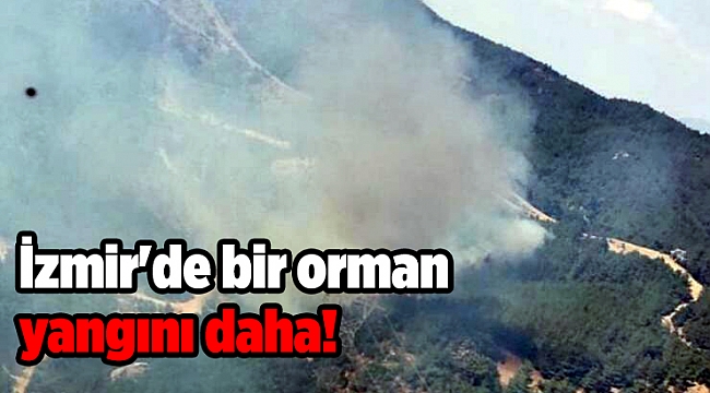 İzmir'de bir orman yangını daha!