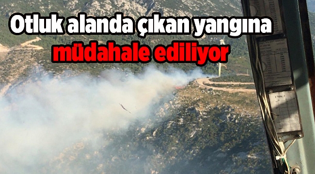 İzmir'de otluk alanda çıkan yangına müdahale ediliyor