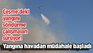 İzmir'deki yangını söndürme çalışmaları sürüyor! Yangına havadan müdahale başladı