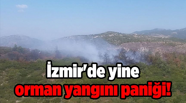 İzmir'in o ilçesinde yine orman yangını paniği!