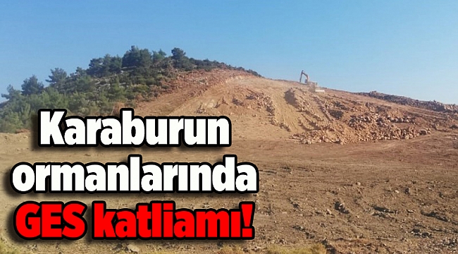 Karaburun ormanlarında GES katliamı!
