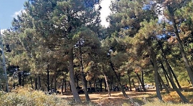 Mangal ateşi hepimizi yakacak!