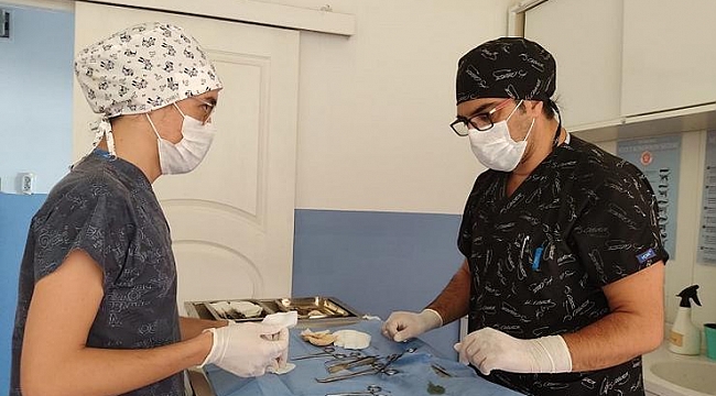 Narlıdere’de can dostlar sahipsiz değil!