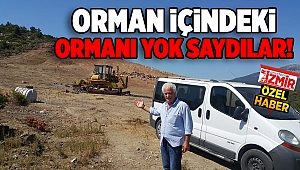 ORMAN İÇİNDEKİ ORMANI YOK SAYDILAR!