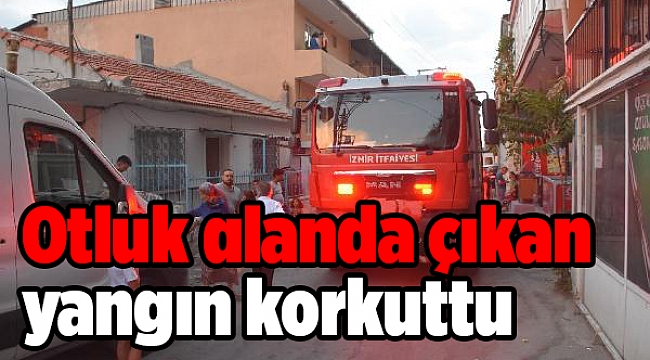 Otluk alanda çıkan yangın korkuttu