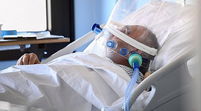 Türkiye'deki corona virüsü vaka ve ölü sayısında son durum